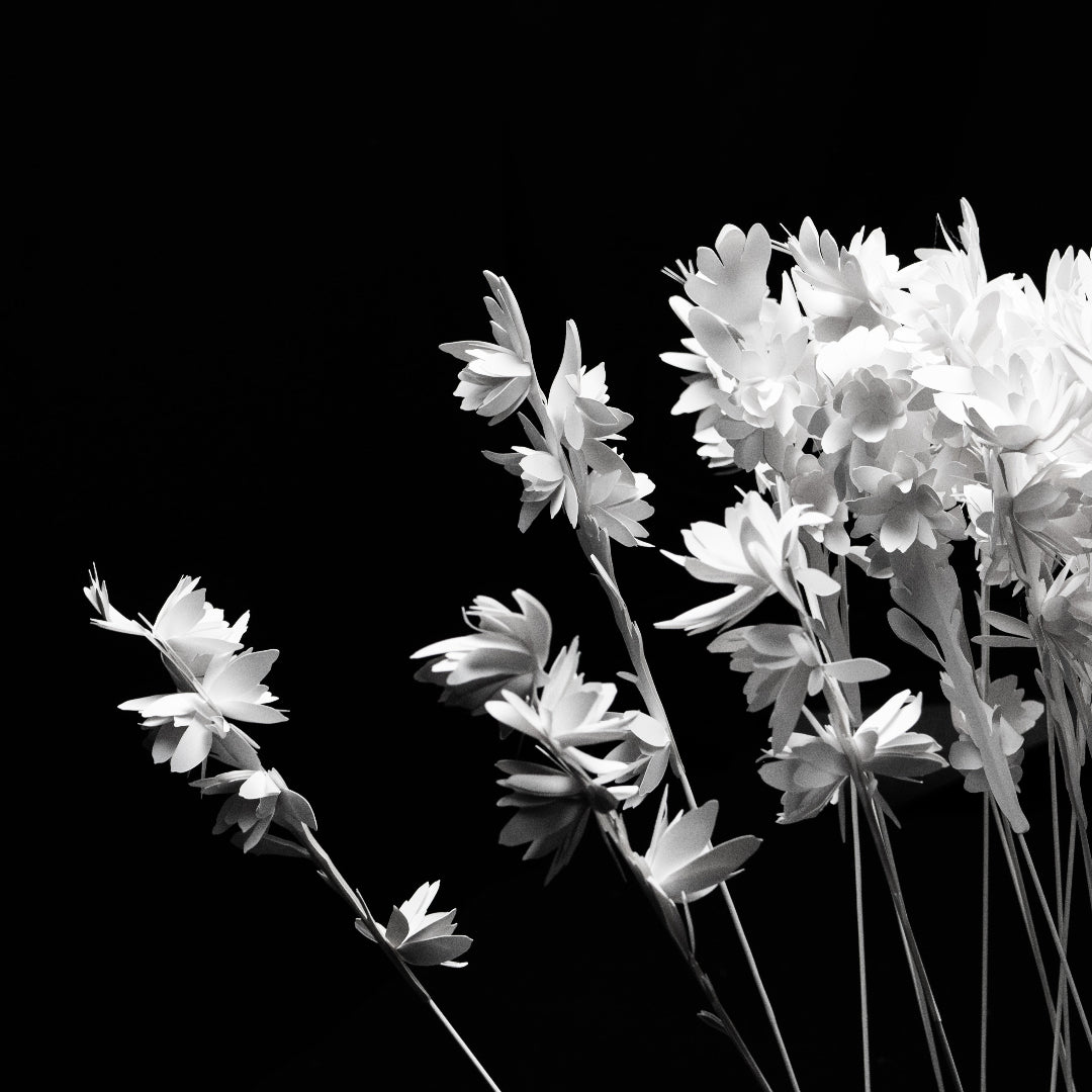 Fleur de papier Tubéreuse - Marc-Antoine Barrois
