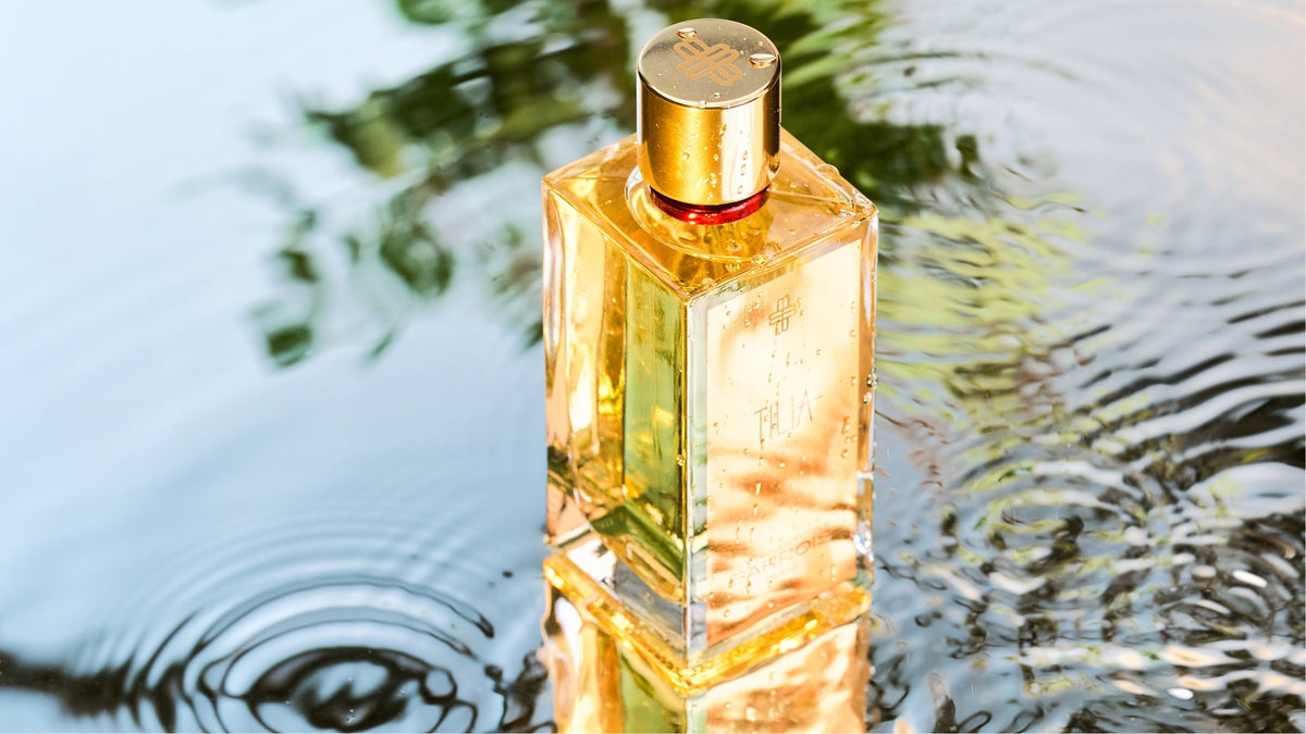Meilleur parfum à la vanille femme : les signatures incontournables