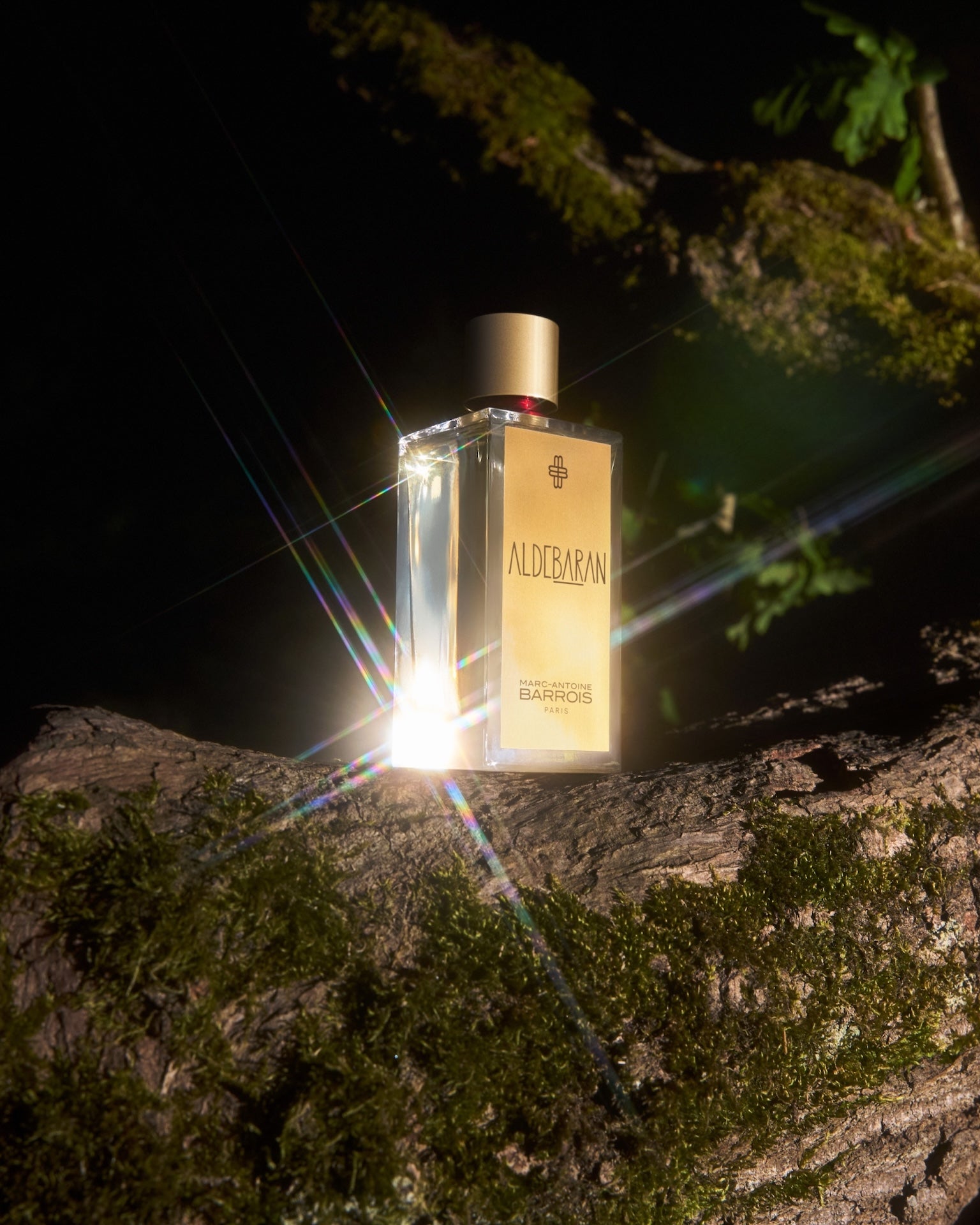 The essence of rarity: best luxury perfumes for her