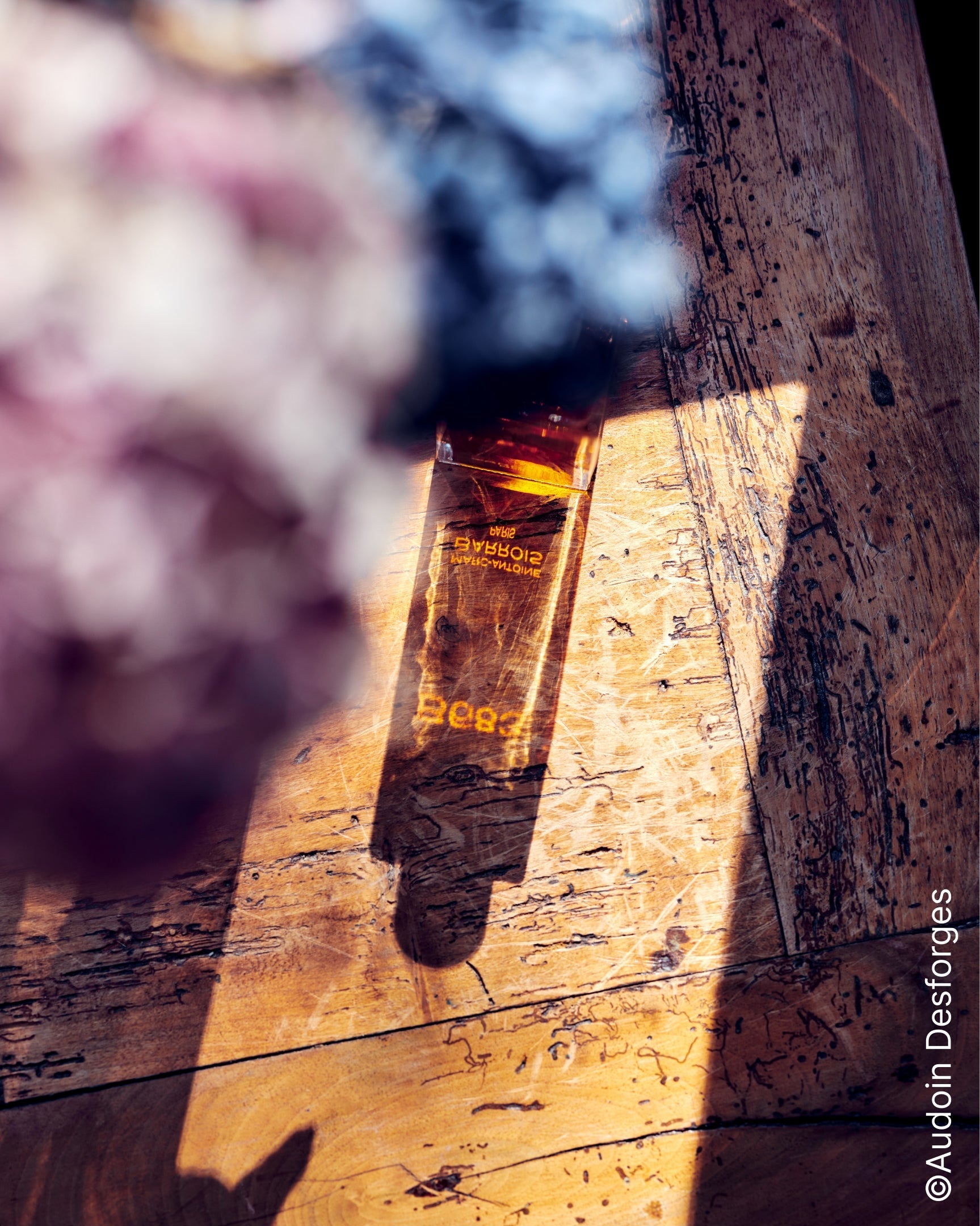 Parfum rose : architecture sensorielle entre Centifolia et Damascena
