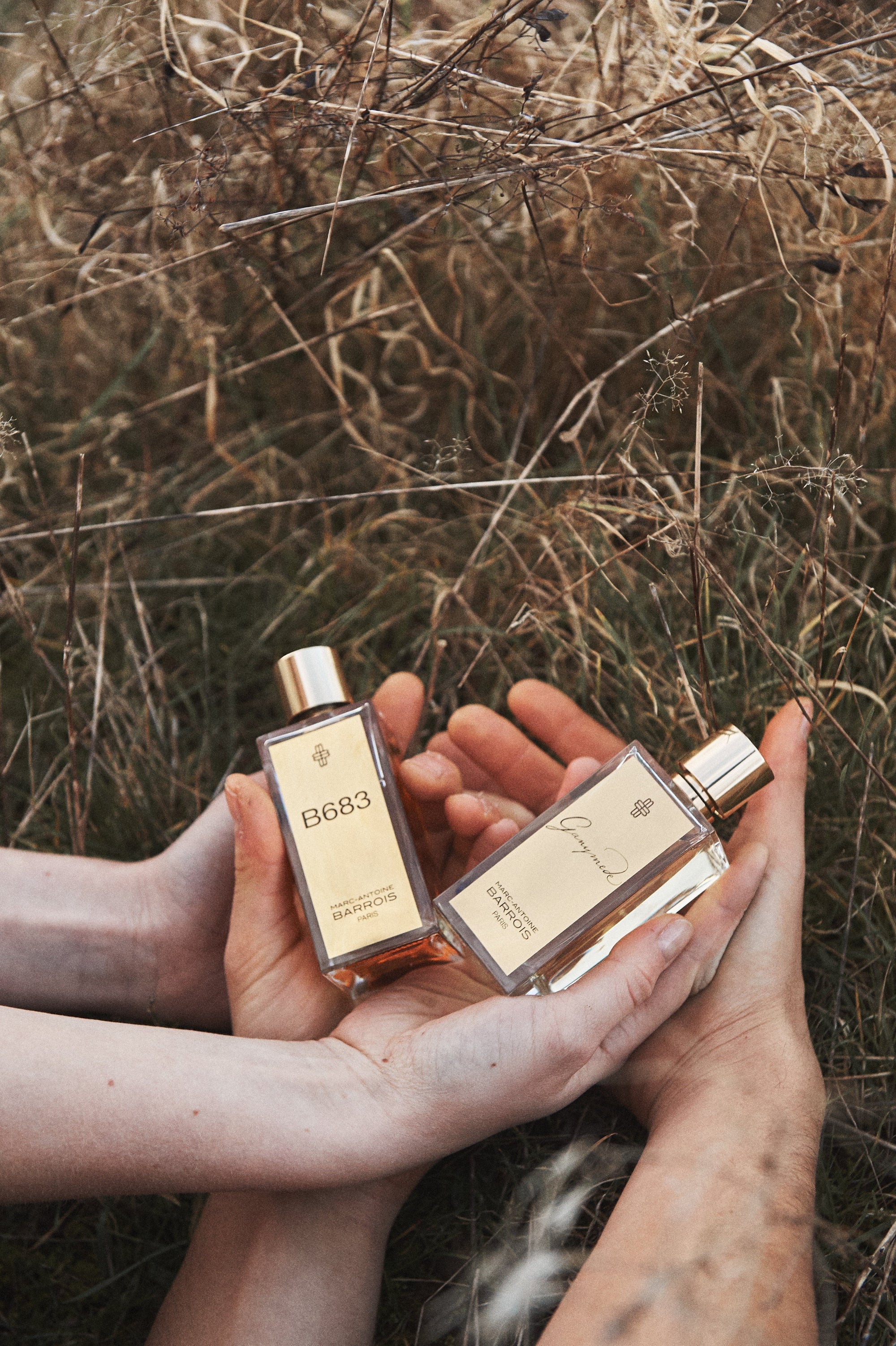 What Is Niche Perfume? Independent Fragrance Guide 2026