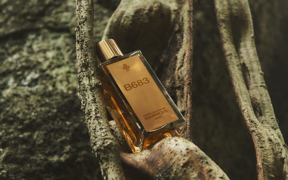 The art of selecting best long lasting male perfumes
