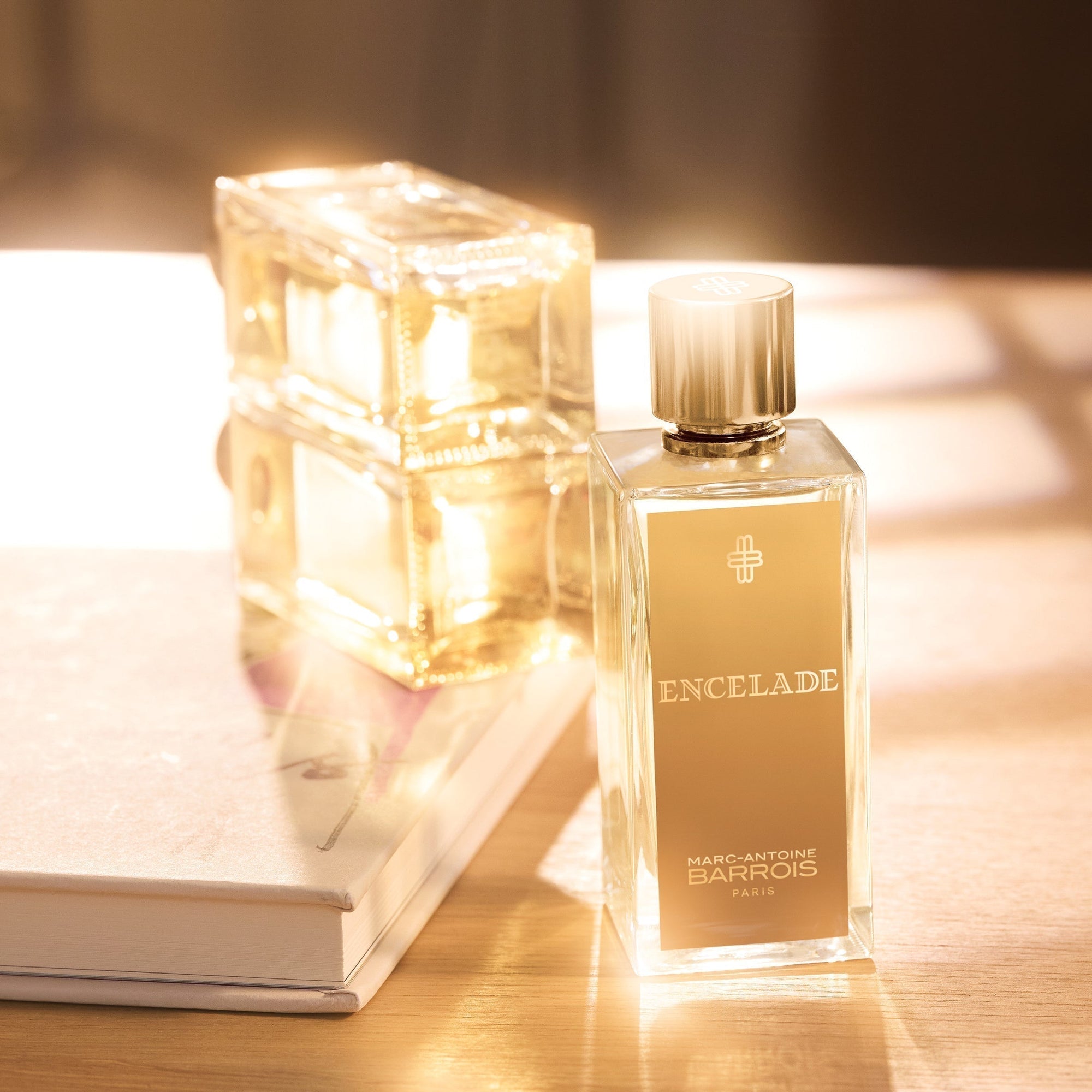The Art of Woody Fragrances: A Guide to Wood Notes in Perfumery 2026