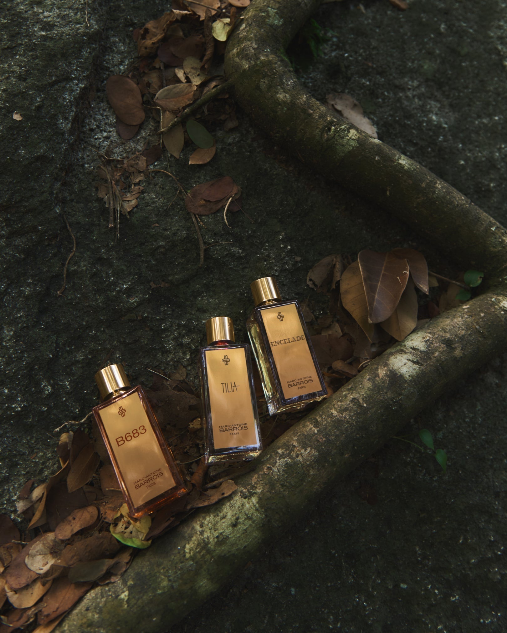 The Heritage of Perfumery: Elegance and Savoir-Faire 2026