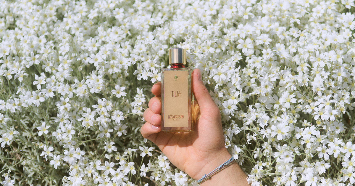 Parfum jasmin : Grandiflorum, Sambac et secrets de l'absolue
