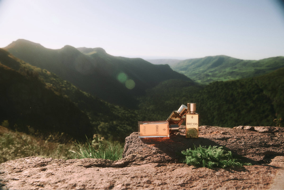 Meilleur parfum homme de tous les temps : le guide