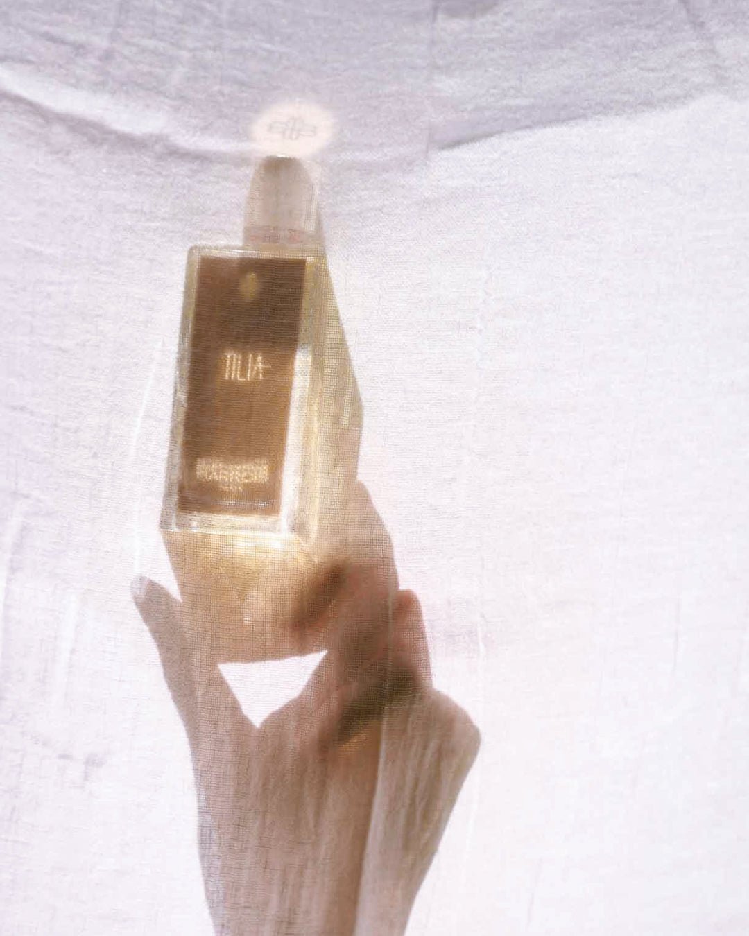 Parfum fleur d'oranger : néroli, absolue et petit grain