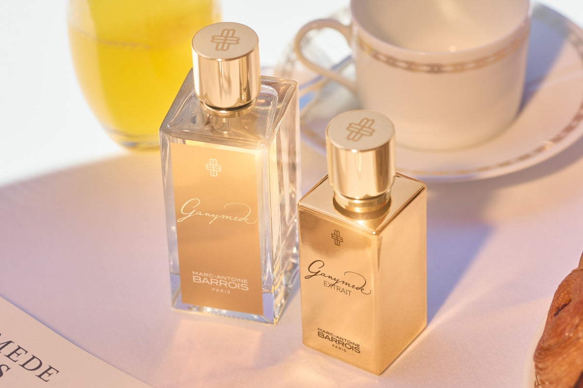 La collection GANYMEDE